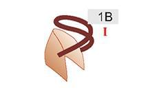 1B