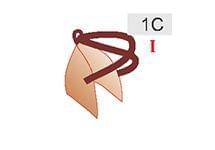 1C