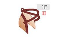 1F (20zł)
