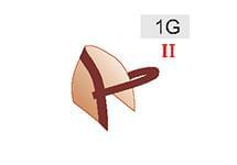 1G (20zł)