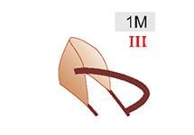 1M (30zł)
