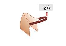 2A (20 zł)