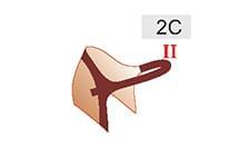 2C (30zł)