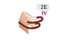 2E (40zł)