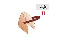 4A (20zł)