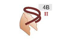 4B (20zł)