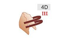 4D (30zł)