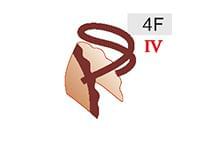 4F (40zł)