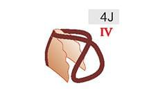 4J (40zł)