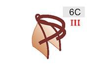 6C (40zł)
