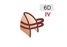 6D (50zł)