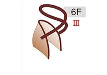 6F (40zł)
