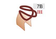 7B (30zł)