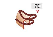 7D (50zł)