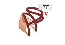 7E (50zł)