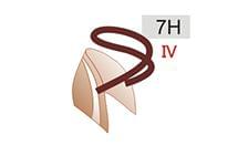 7H (40zł)