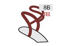 8B (30zł)