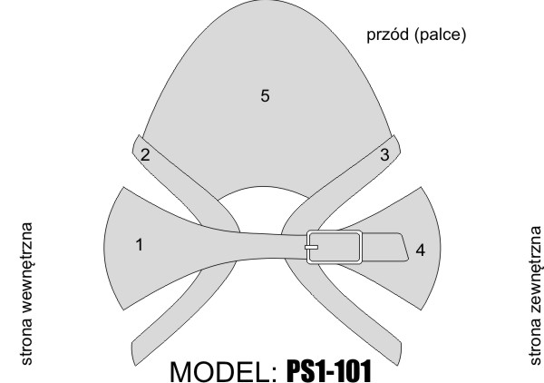 PS1-101 – SCHEMAT
