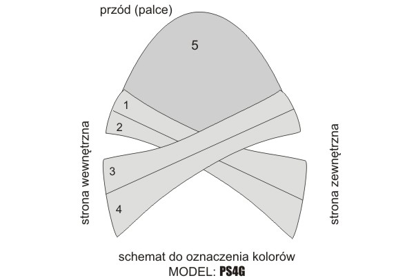 PS4G – SCHEMAT