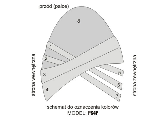 PS4P – SCHEMAT