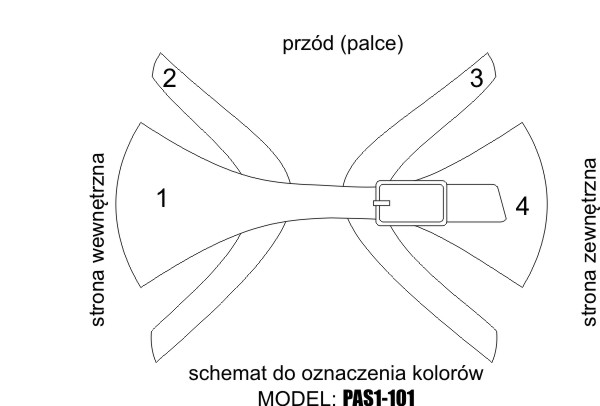 PAS1-101 – SCHEMAT