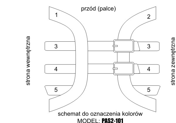 PAS2-101 SCHEMAT