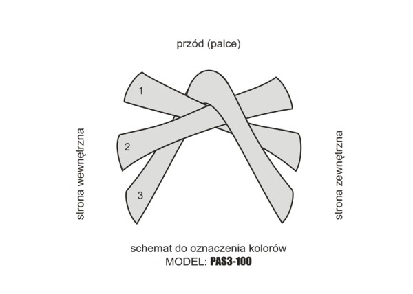 PAS3-100 SCHEMAT
