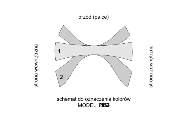 PAS3G – SCHEMAT