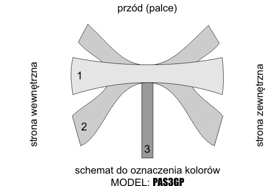 PAS3GP – SCHEMAT