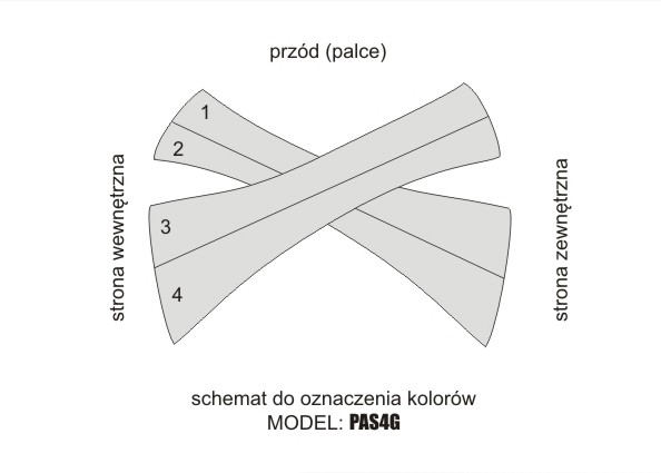 PAS4G – SCHEMAT