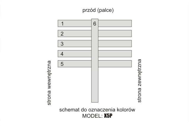X5P – SCHEMAT