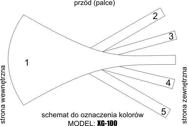 XG-100 – SCHEMAT