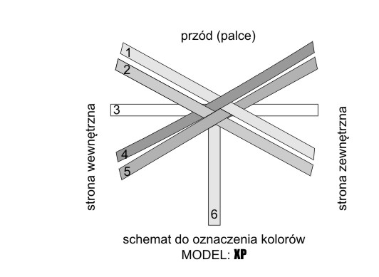 XP – SCHEMAT