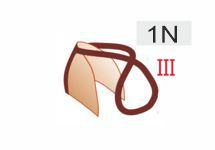 1N (30zł)