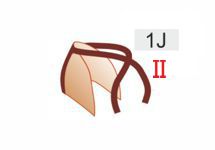 1J (20zł)