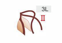3L (20zł)